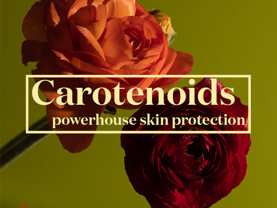 Carotenoids powerhouse skin portection. a blog post for mila clarity. the clarity oil. 